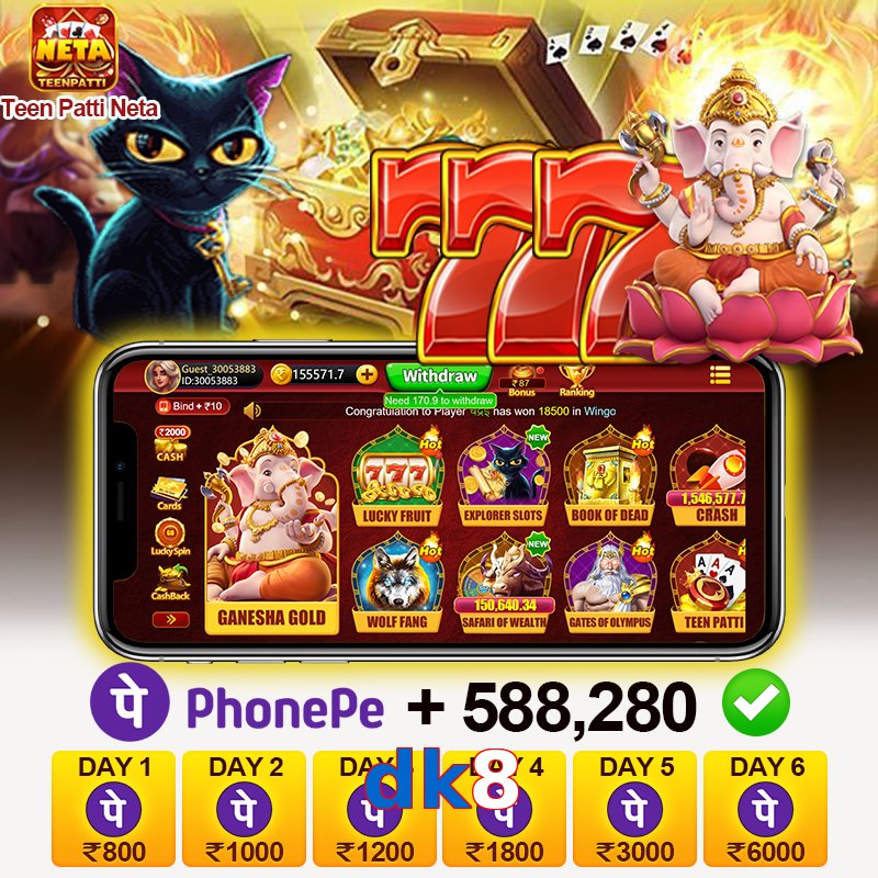 dk8