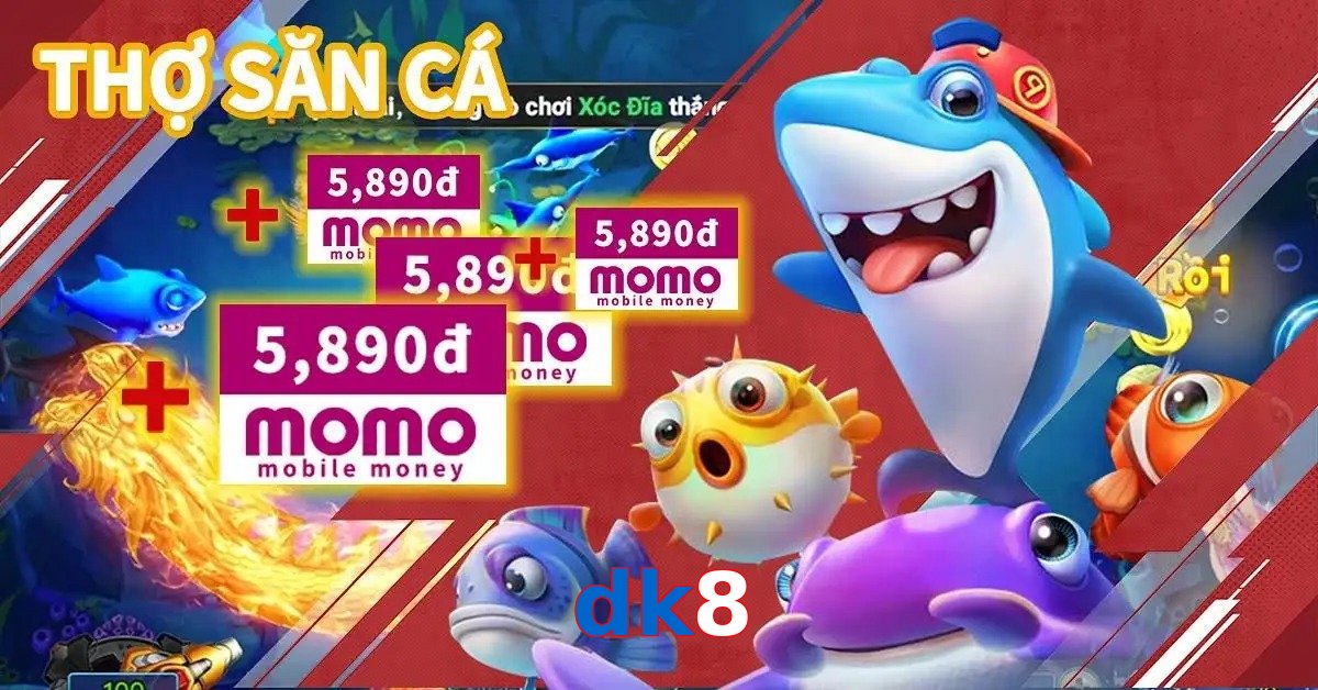 dk8