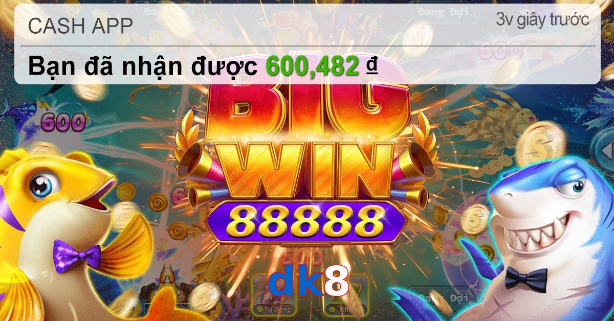 dk8