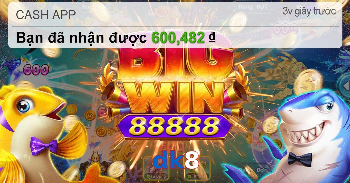 dk8